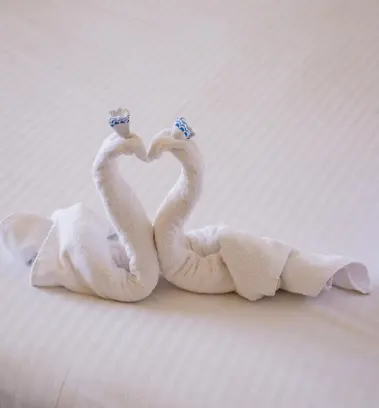Towel & Napkin art