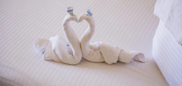 Towel & Napkin art