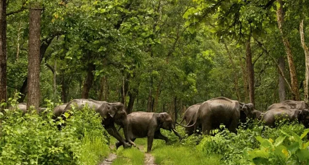 Chinnar wild life Sanctuary