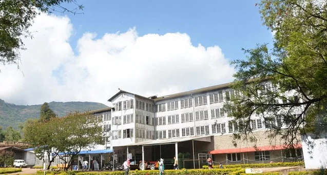 Lock Heart Tea factory visit
