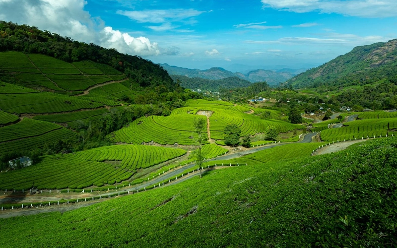 Responsible Tourism in munnar