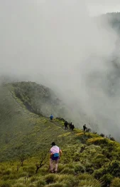 Meeshapuli Mala