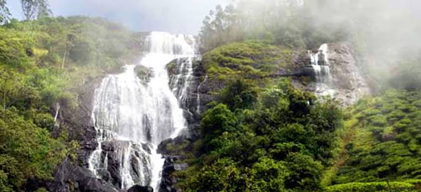 fog munnar