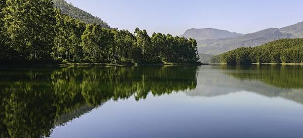 fog munnar