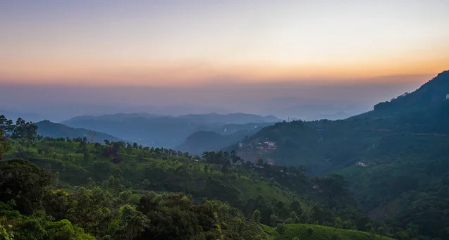 Pothamedu view point