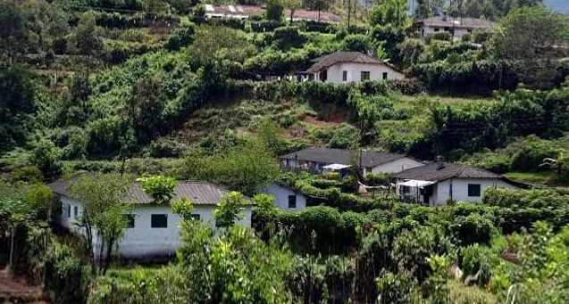 Resort Village View