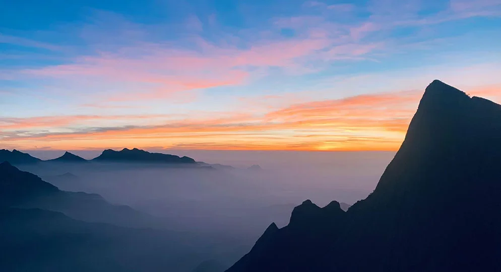 Kolukkumalai: The World’s Highest Tea Estate & How to Get There
