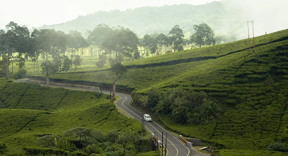 Eco-Friendly Travel in Munnar: How to Enjoy Nature Without Harming It
