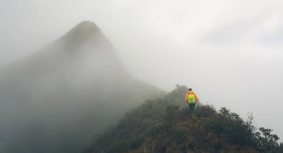 Munnar in December: Complete Winter Travel Guide, Weather & Packing Tips