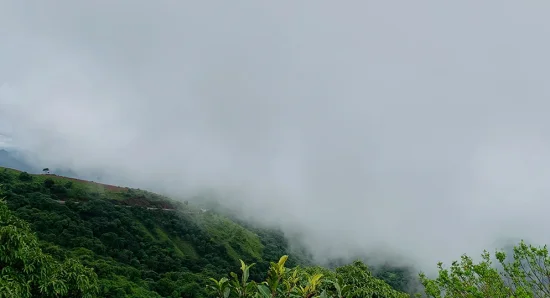 Fog & Mist Lovers’ Guide to Munnar: When and Where to Experience the Magic