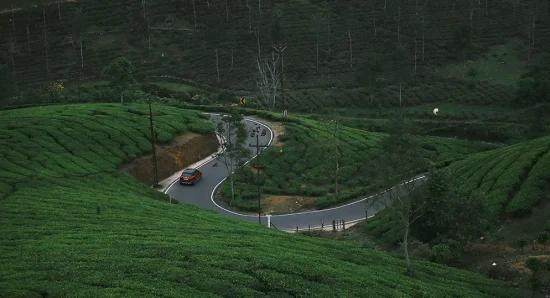 Bangalore to Munnar: The Complete Travel Guide