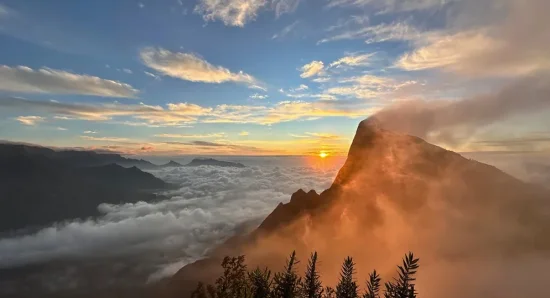 Day Trips from Munnar: Scenic Routes and Perfect Spots 