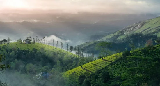 What Kerala is Famous For – The Best Things to Do