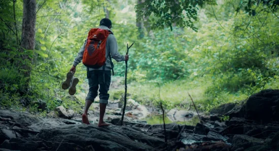Six Gorgeous Trails for Trekking on Your Trip to Kerala