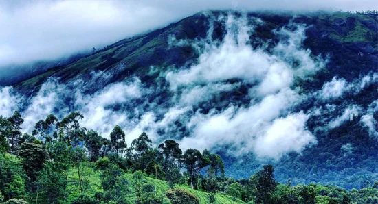How to reach from Cochin to Munnar