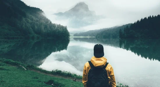 Solo Trip to Munnar: Top Stays for a Secure and Unforgettable Experience