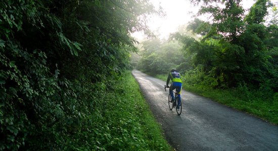 Pedal Through the Hills: Guided Bicycling & Hiking Adventures