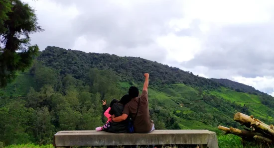How to Plan a Perfect Honeymoon at a Luxury Resort in Munnar