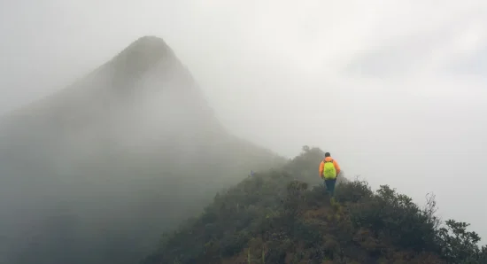 munnar-in-december-winter-travel-guide